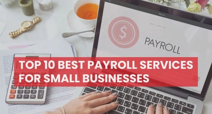 How Much Does It Cost to Outsource Payroll for Your Business | HR4SMB